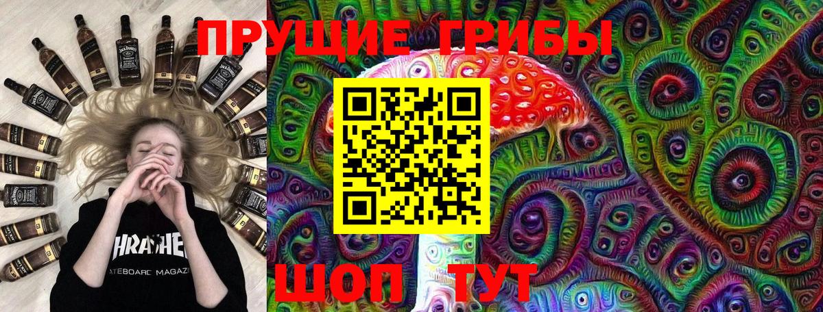 Галлюциногенные грибы Cubensis  Псилоцибиновые грибы MAGIC MUSHROOMS  Ревда  Вход с VPN 